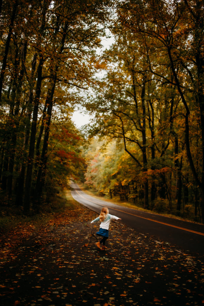 October Family Session - Shenandoah National Park - Fall Leaves | Blue Ridge parkway