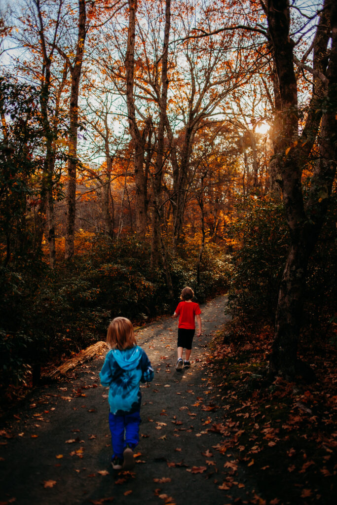 two boys walking on a trail in Shenandoah national park. 